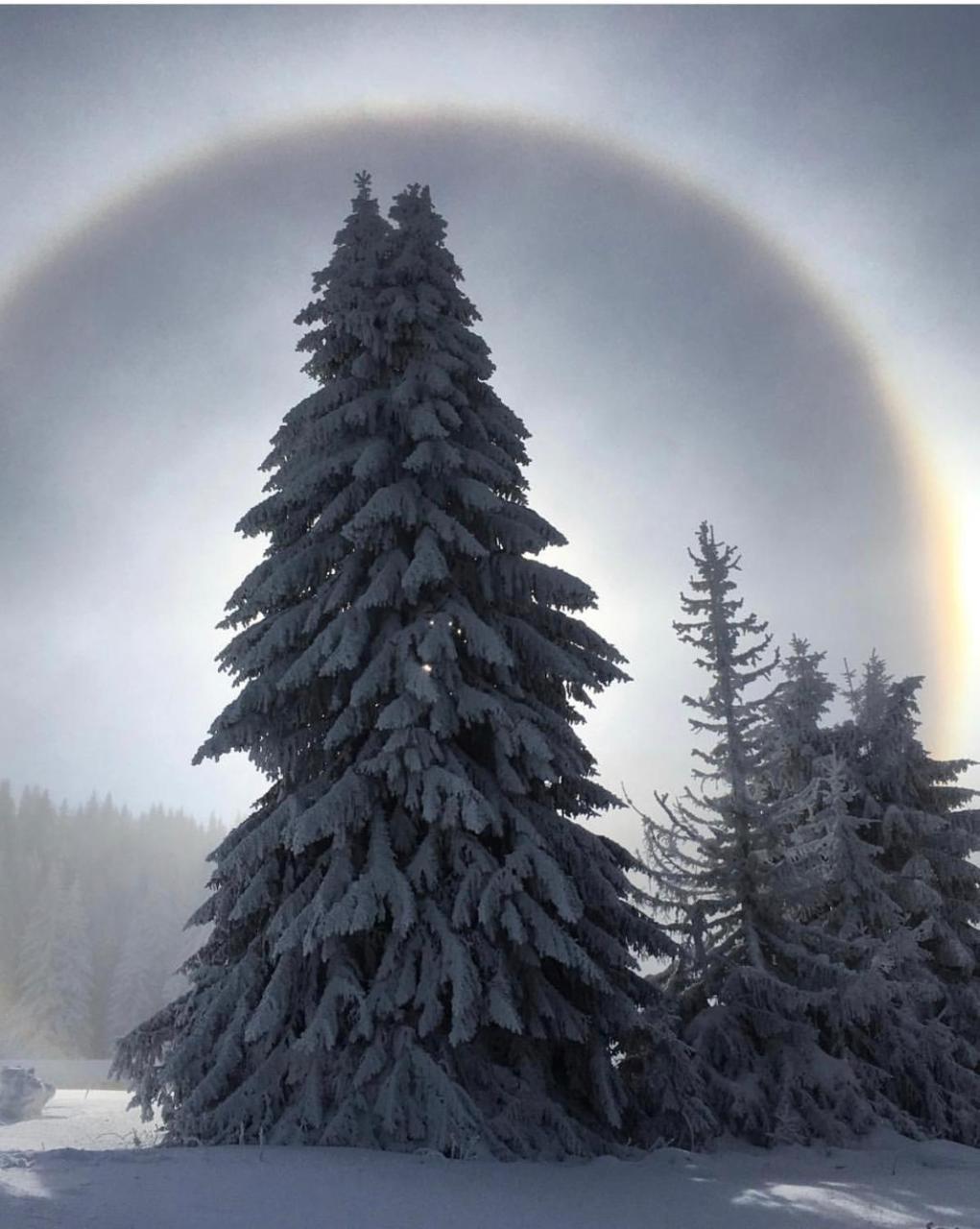 Silver Mountain Milmari Kopaonik Bagian luar foto
