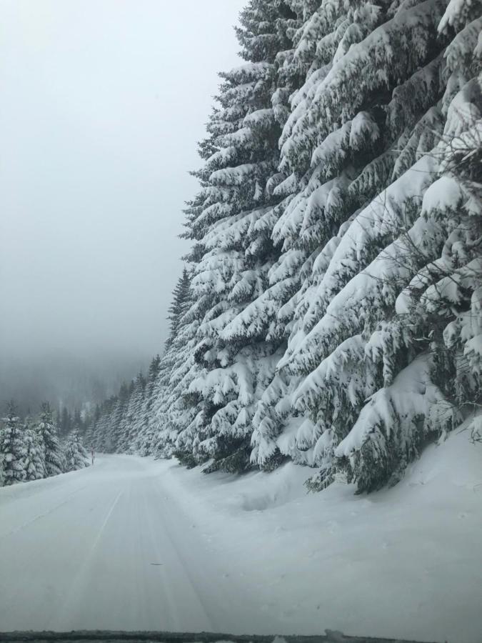 Silver Mountain Milmari Kopaonik Bagian luar foto